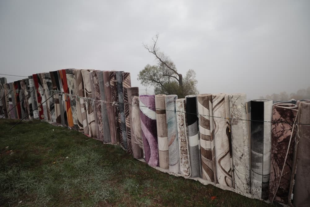 The Flea Market in Dolni Bogrov, photograph 10