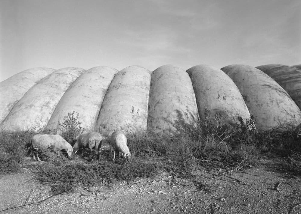 Buffer space, photograph 9