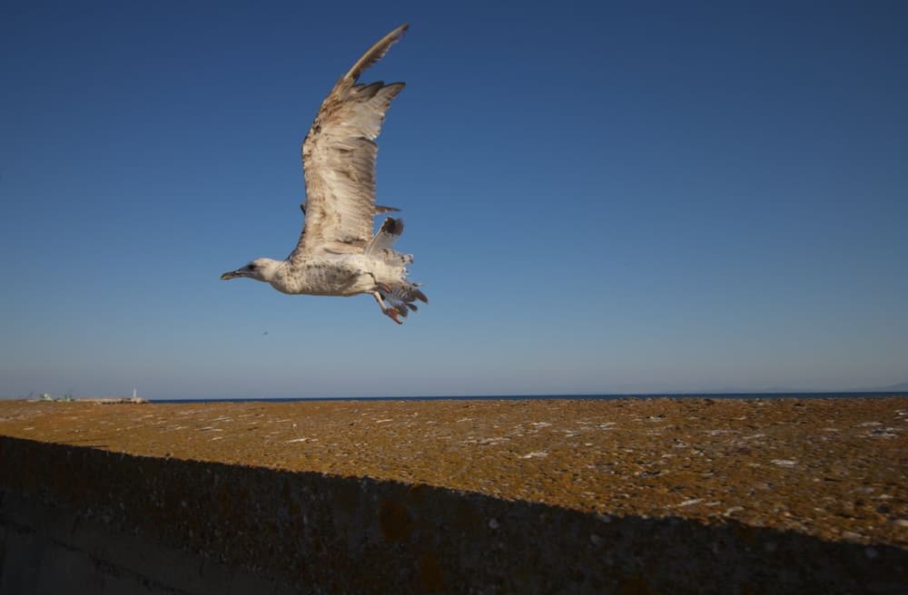 Seaside stories, photograph 11