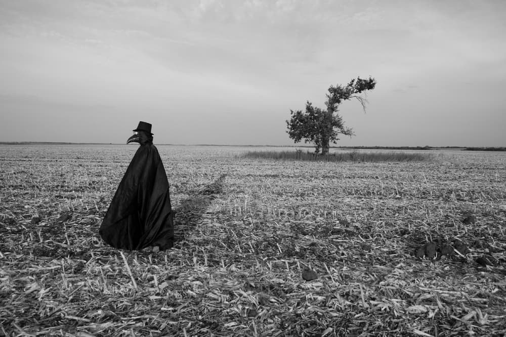 Nevermore, photograph 6