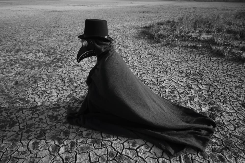 Nevermore, photograph 9