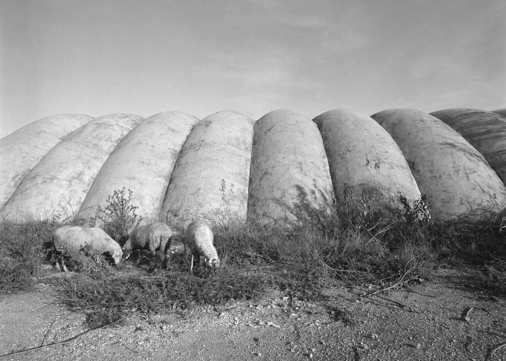Buffer space, photograph 9