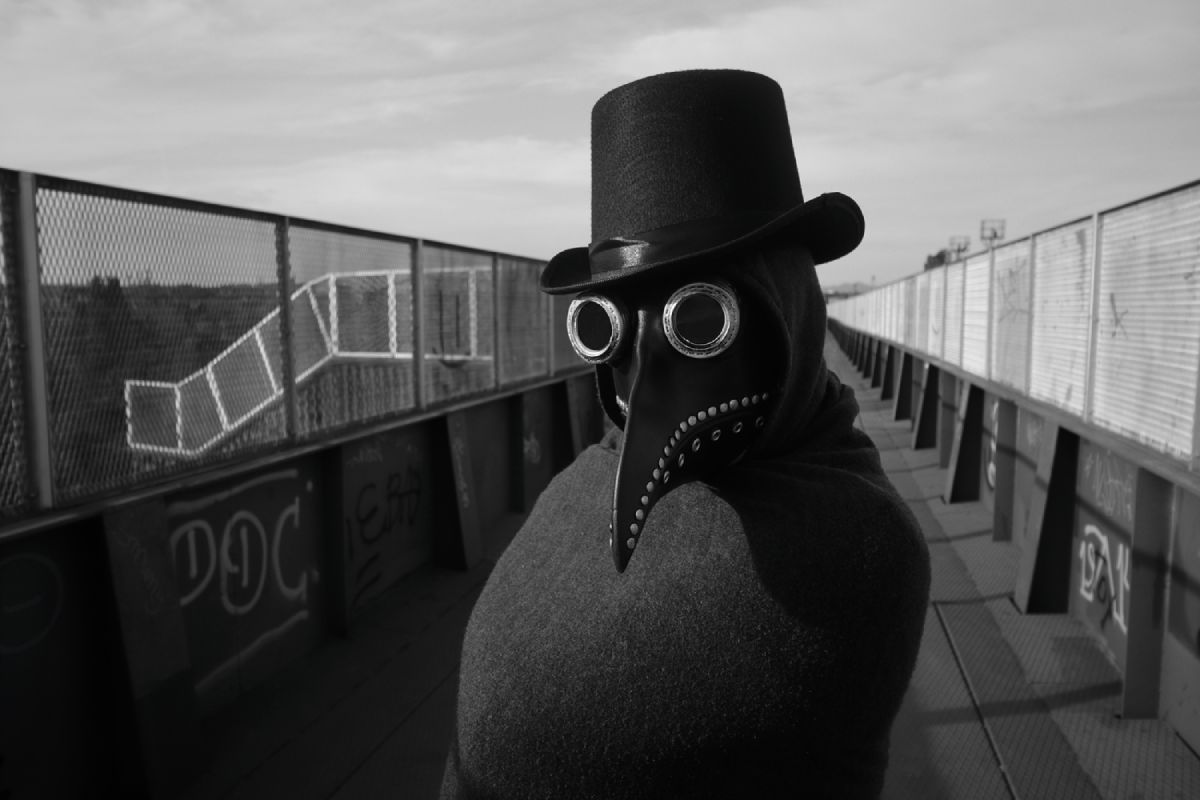 Nevermore, photograph 3