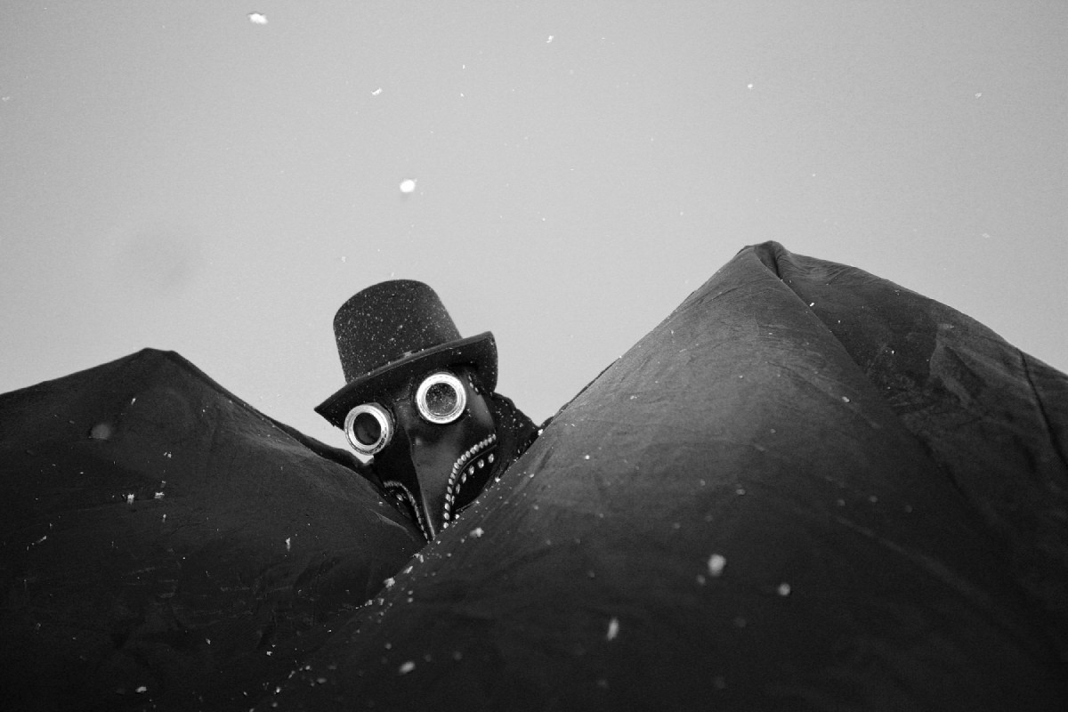 Nevermore, photograph 7